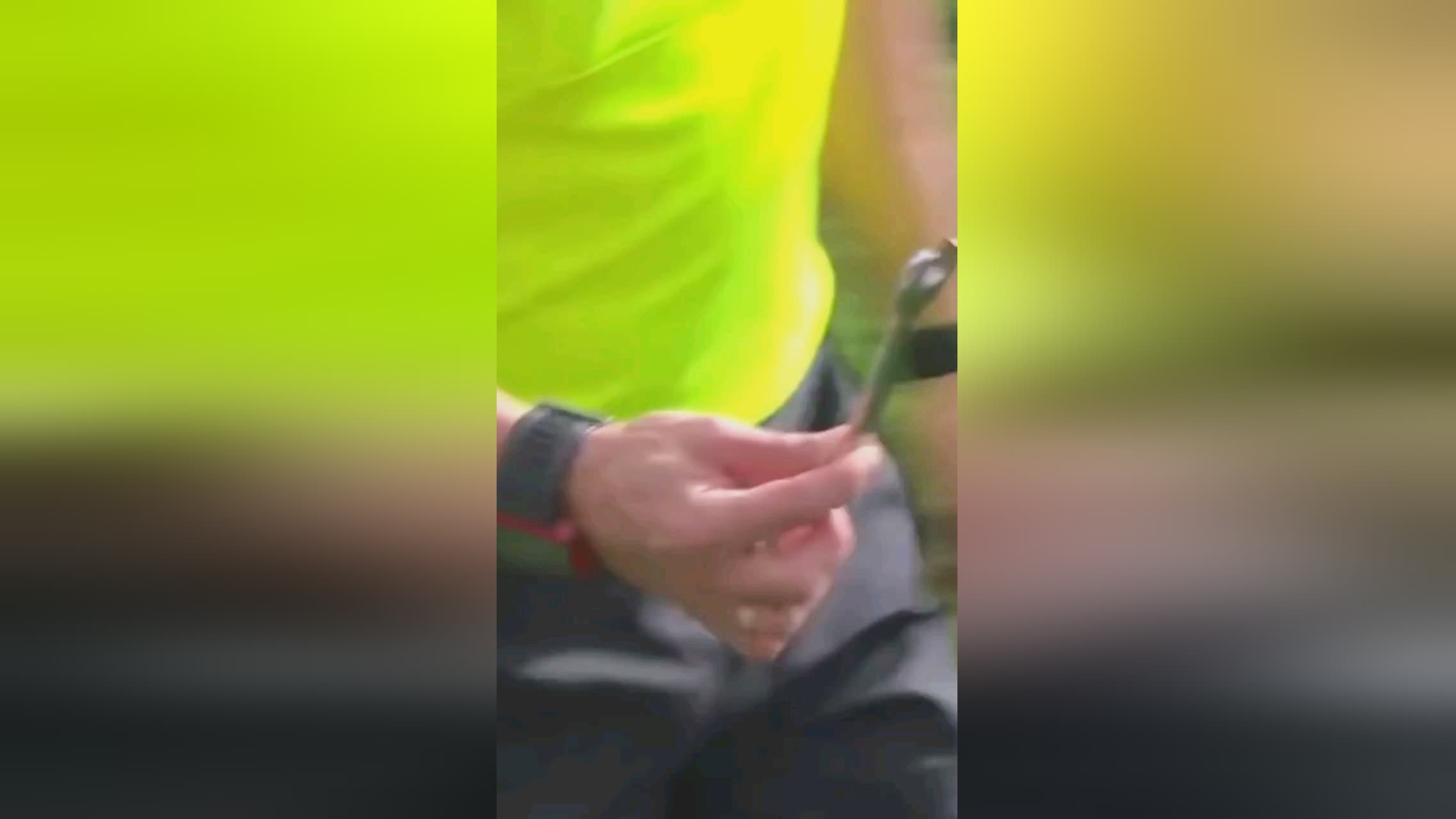 这对